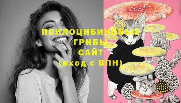 амфетамин Инта
